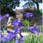 Bucks Community College Gardens Self-Guided Tours