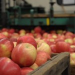 Take a Bite Out of the Annual Peddler’s Village Apple Festival