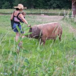 Joanna Michini, Purely Farm in Pipersville. Photo credit: L. Goldman