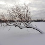 Roberts Ridge Park
