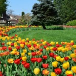 4 Places to Stop & Smell the May Flowers