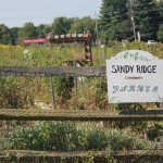Fresh Ideas: Sandy Ridge Community Garden