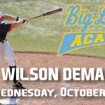 One Day Sale! Wilson/DeMarini Day