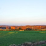 Photo of the Week: Foliage from Afar