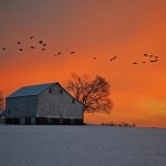 Featured Photo: A Winter Sunset on the Farm