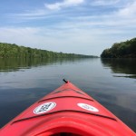 Photo of the week: Traffic was light heading to Yardley