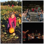 Enter to Win the Ultimate Prize Pack from Shady Brook Farm