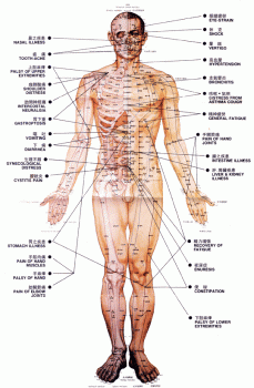 Acupuncture points, front