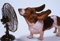 Keep Cool