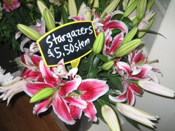 Monday Morning Flowers 002
