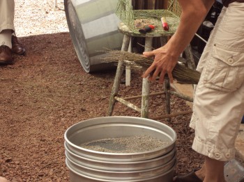 Peace Valley Lavender Farm