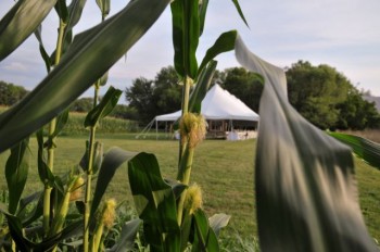 farm to table bucks county