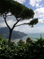 Amalfi Amalfi