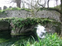 Ninfa Ninfa