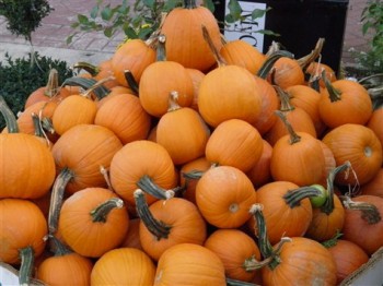 Pumpkins