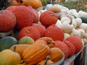 Fall Food, Bucks County