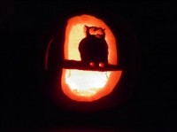 Bucks County, Jack-o-lantern, Bucks Happening
