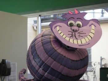 Susan Lloyd, cheshire cat