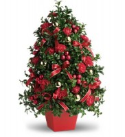 Monday Morning Flowers Holiday Gift 2010 Bucks County