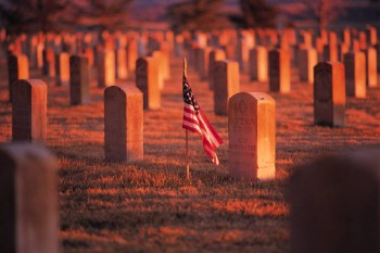 veterans day bucks county