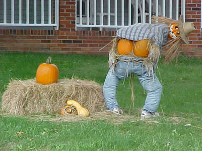 Pumpkin Man Contest