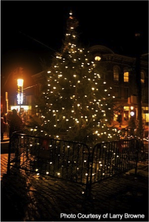 holiday tree lighting