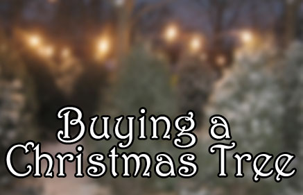 christmas-trees-bucks-county buy a christmas tree, christmas tree farm, bucks county