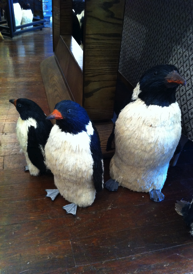 penguin-gifts penguin-gifts