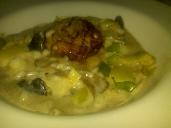 Scallops