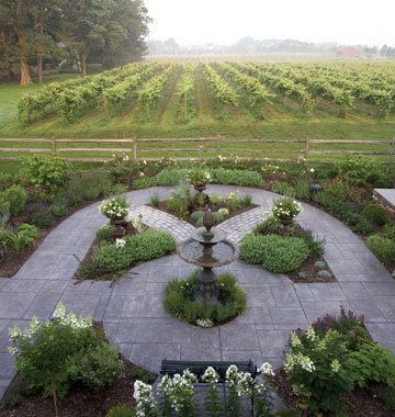Crossing Vineyards