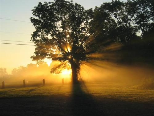 Peace Valley Park