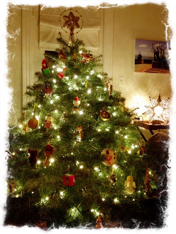 Bucks County Christmas Tree Contest