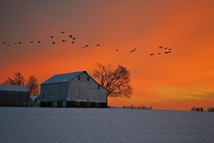 Featured Photo A Winter Sunset on the Farm Bucks Happening