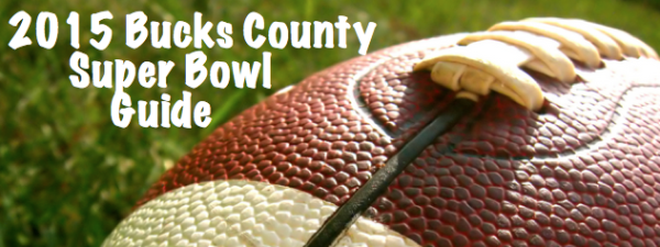 superbowl guide