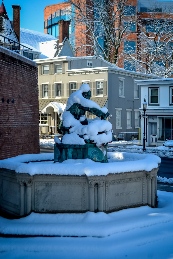 Jack Frost in Doylestown to welcome Spring