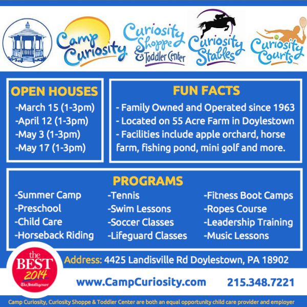 camp curiosity