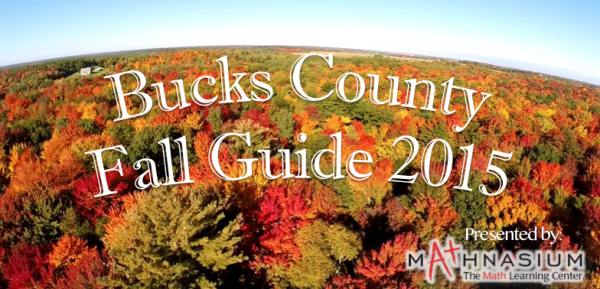 fall guide 