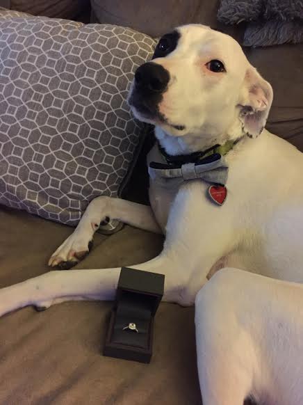 7110e8c0-fa5d-4868-a370-a888f5387800