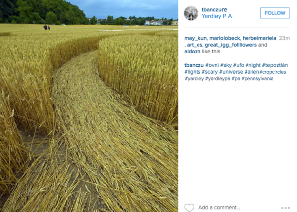 crop circle yardley