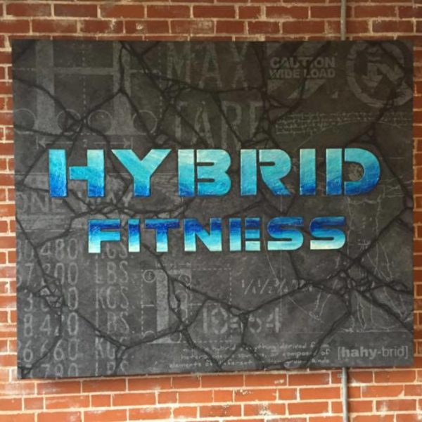 hybrid fitness