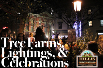 screen-shot-2016-11-16-at-1-30-11-pm