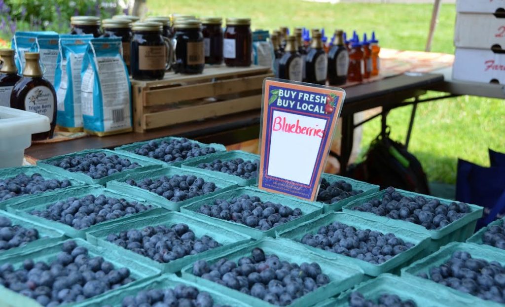 Celebrating National Blueberry Month at Peddler's Village Bucks Happening