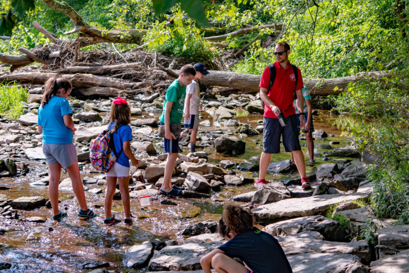 2021 Bucks County Summer Camp Guide Bucks Happening