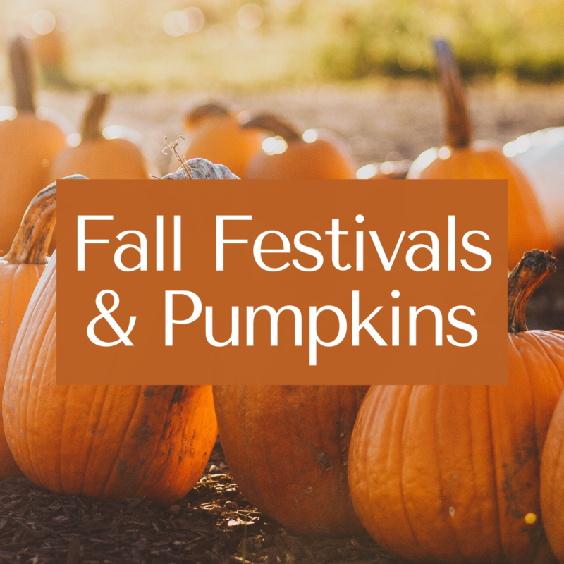 2021 Bucks County Fall Guide | Bucks Happening