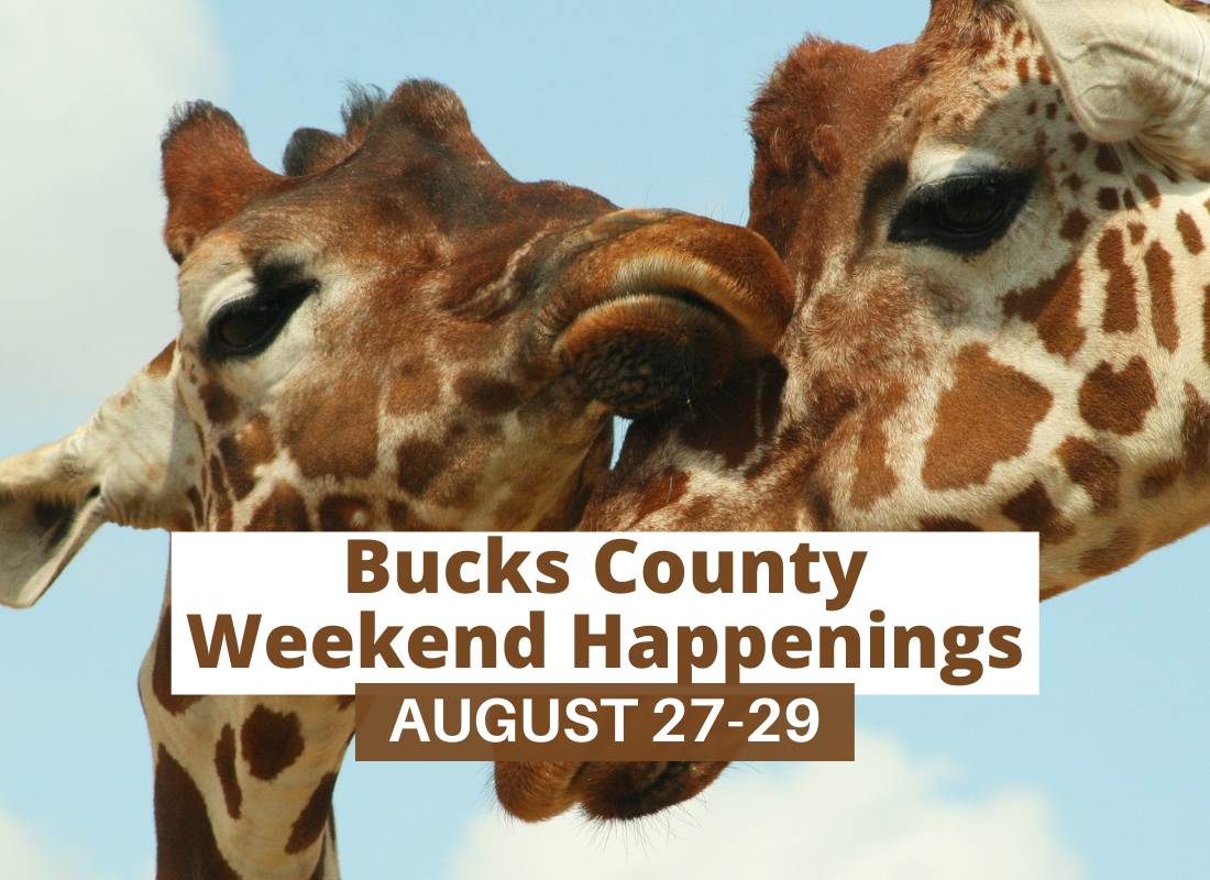 Bucks County Weekend Happenings August 27 29 Bucks Happening