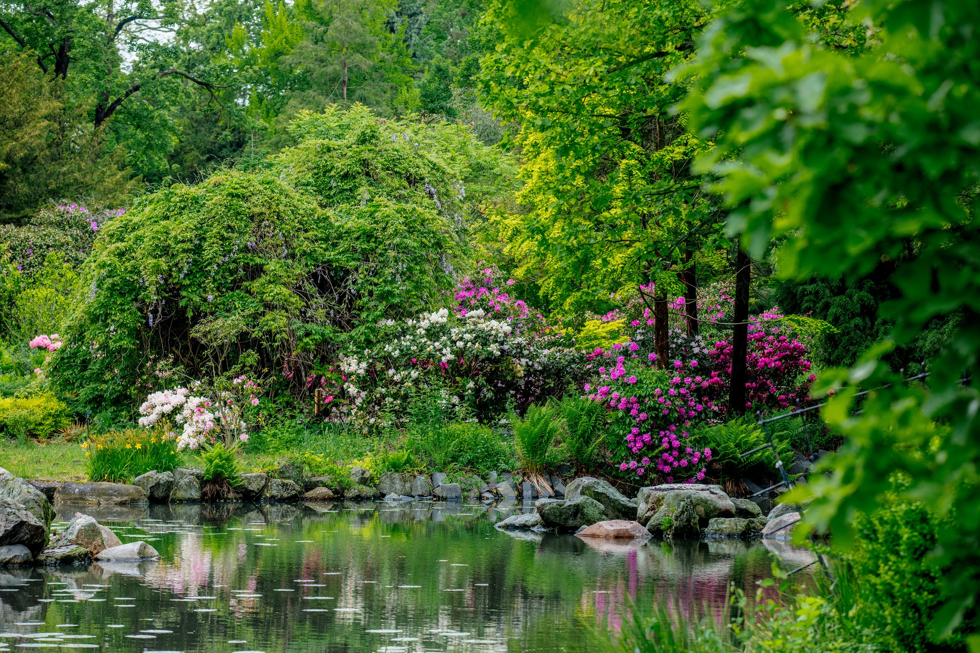 public park with blossom bushes and river