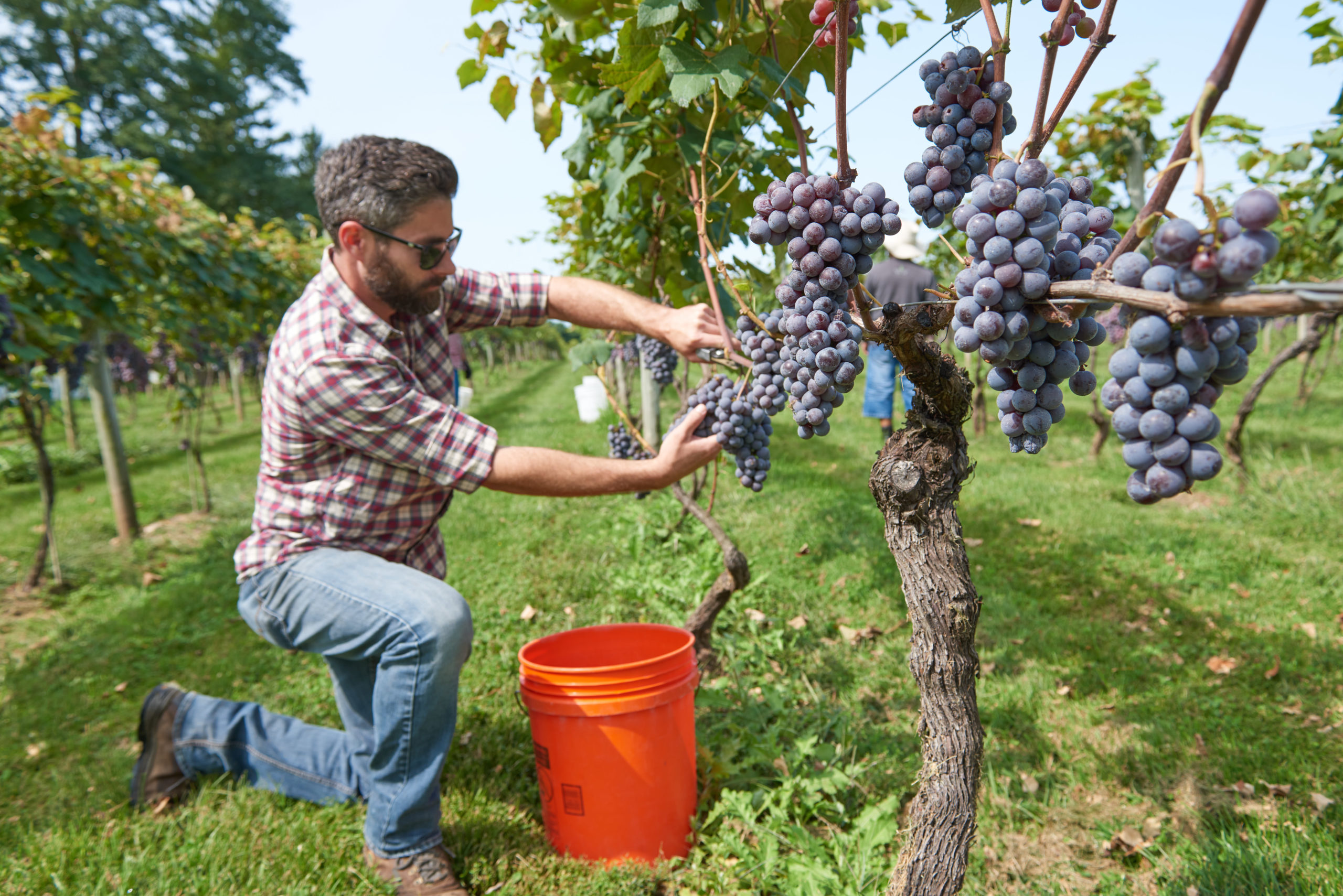 bucks wine trail