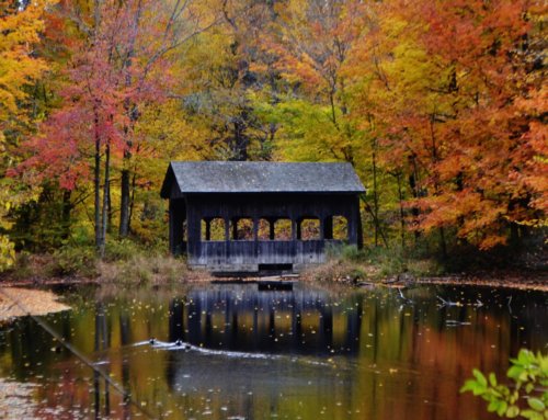Discover the Covered Bridges of Bucks County