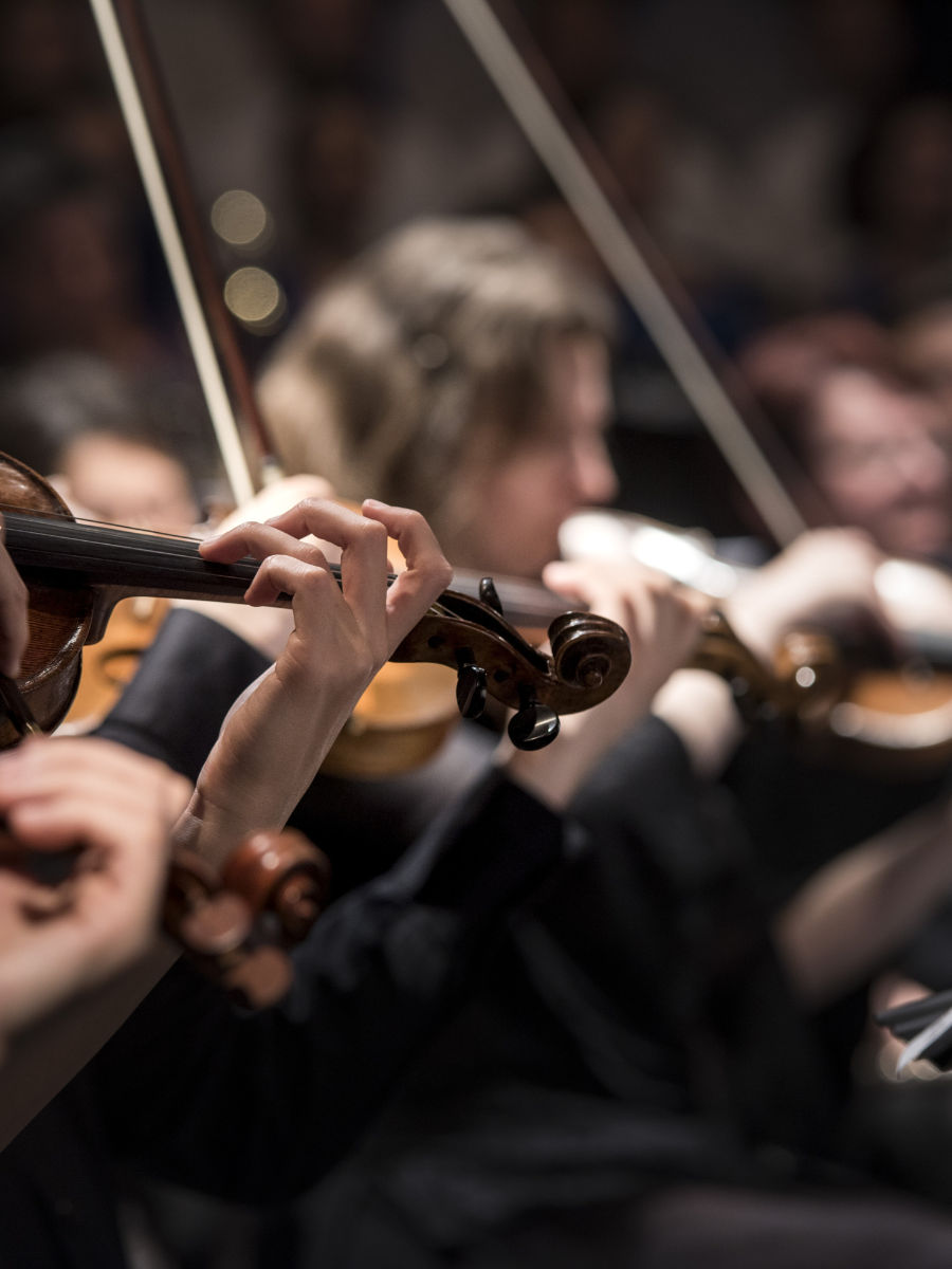 Orchestra