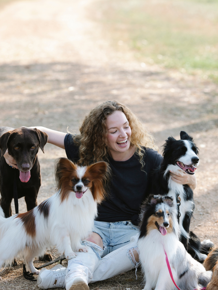 Arts and Barks